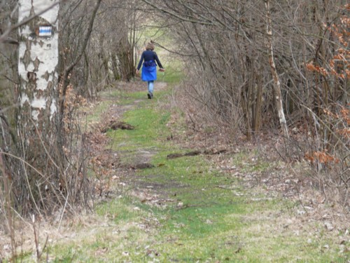 Riesengebirge | Gerhart Hauptmann | Karkonosze