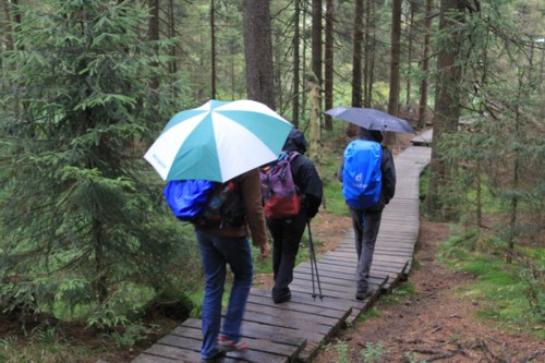 Harzer Hexen Stieg | Torfhaus | Königshütte