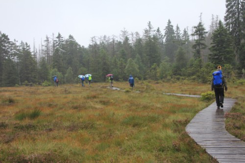 Harzer Hexen Stieg | Torfhaus | Königshütte