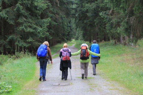 Harzer Hexen Stieg | Königshütte | Altenbrak