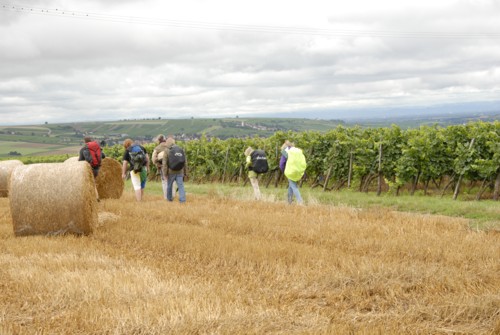 Von Bolanden auf dem Weg nach Worms