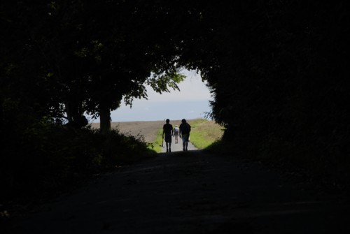 Nibelungenweg im Odenwald