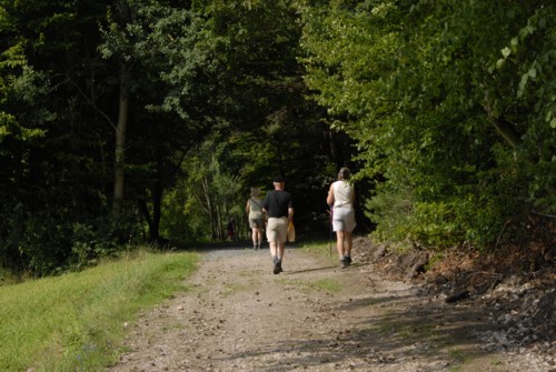 Nibelungenweg im Odenwald