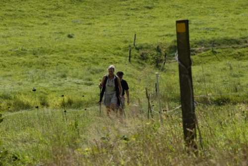 Nibelungenweg | Vielbrunn