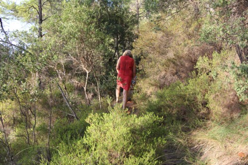 Adrasan | Lykischer Wanderweg| K&uuml;&ccedil;&uuml;k &Ccedil;avus, Br. | T&uuml;rkei
