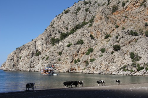 Adrasan | Sazak-Bucht | Lykischer Wanderweg | T&uuml;rkei