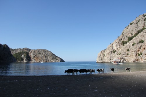 Adrasan | Sazak-Bucht | Lykischer Wanderweg | T&uuml;rkei