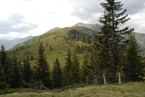 Tuxer Alpen | Schwaz | Gamssteinhaus | Kellerjoch | Gartalmhaus | Kuhmoser