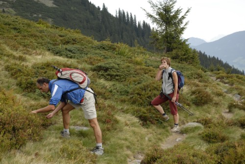 Tuxer Alpen | Schwaz | Gamssteinhaus | Kellerjoch | Gartalmhaus | Kuhmoser