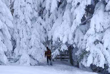 Wanderung durch die Winterlandschaft