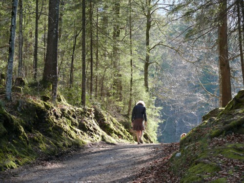 Wetterstein | Hammersbach | Höllentalklamm | Höllentalangerhütte