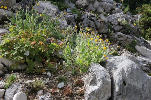 Wetterstein | Elmau | Schachenhaus | Wettersteinalm