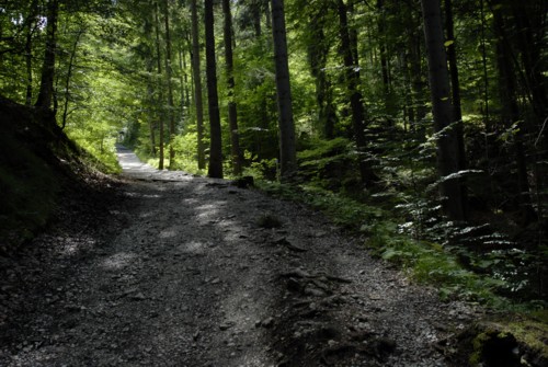 Wetterstein | Hammersbach | Höllentalklamm | Höllentalangerhütte
